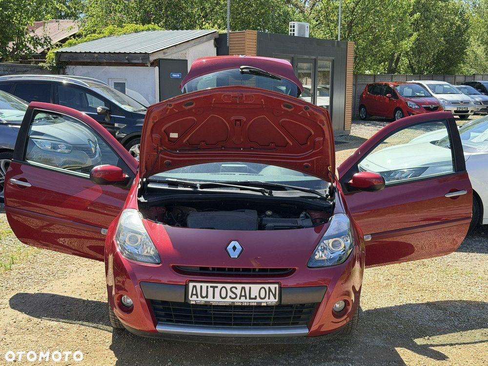 Renault Clio - 22
