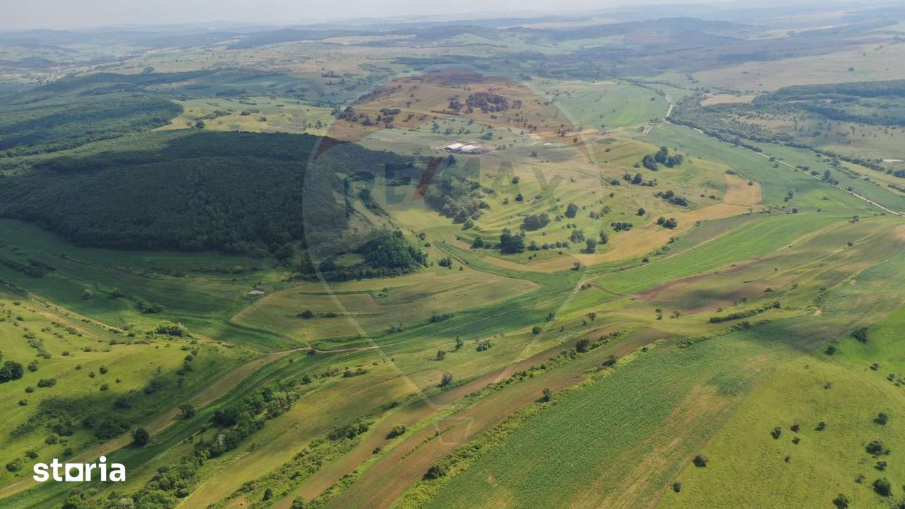 INVESTITIE REZILIENTA 300 HA Teren de vanzare in Zlagna Sibiu - Imagine principală: 4/4