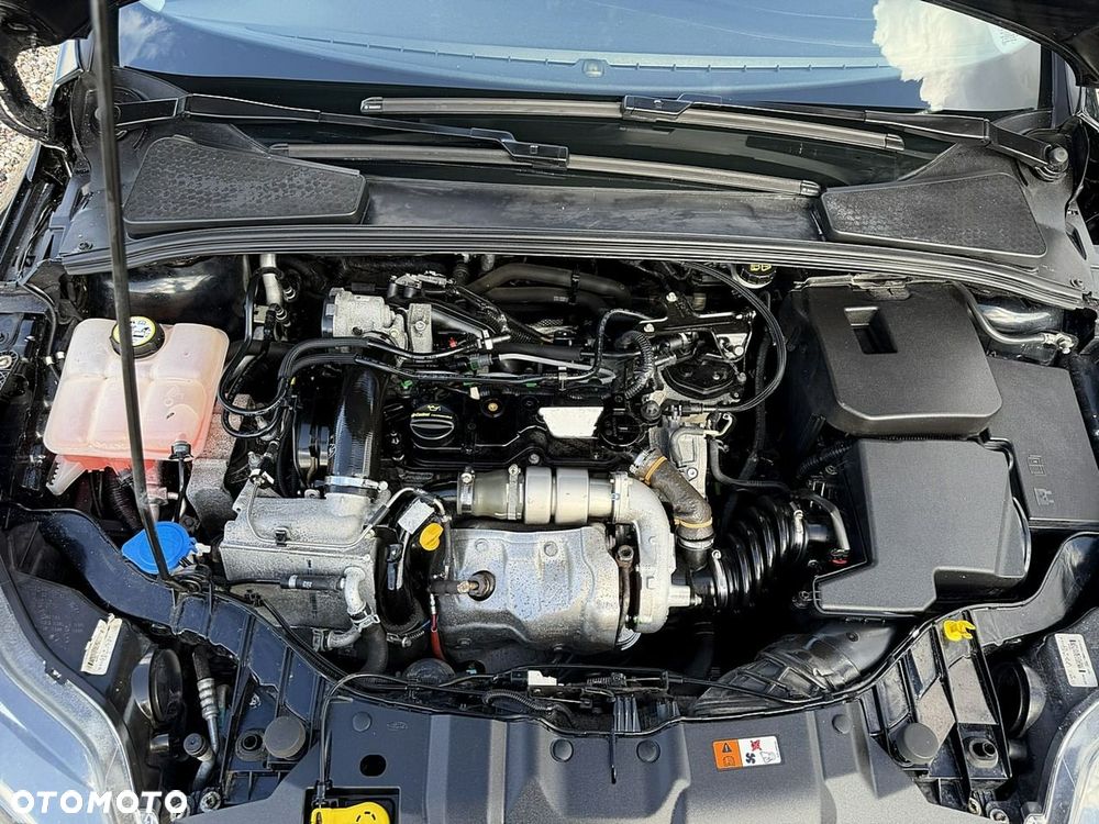 Ford Focus - 14