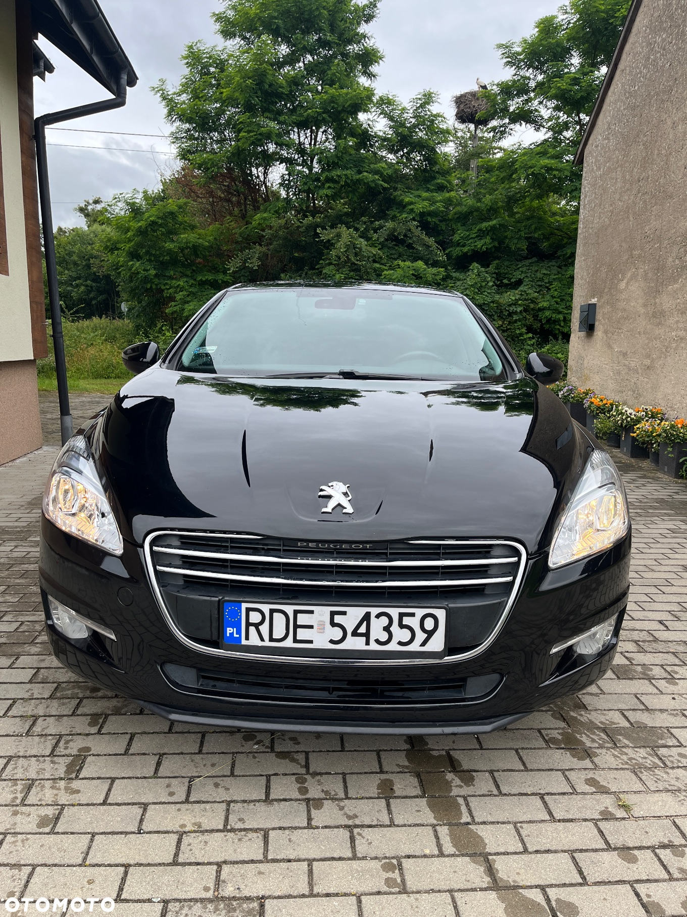 Peugeot 508 1.6 HDi Active - 2