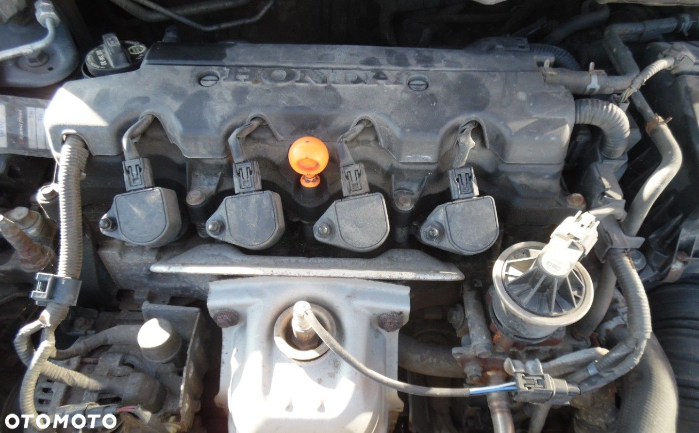 Honda Civic - 21