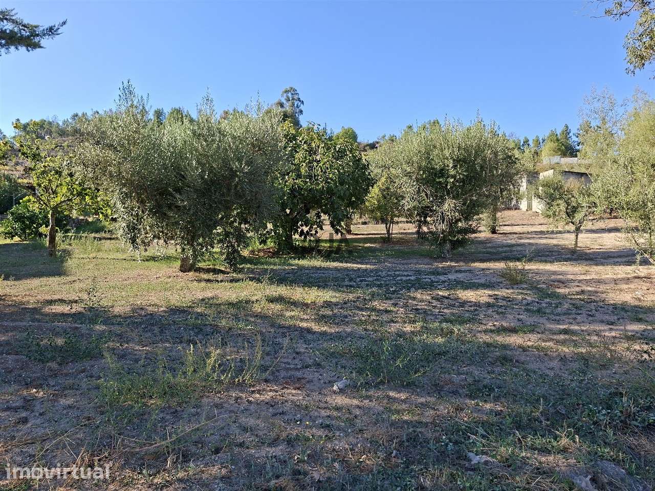 Moradia T0 à venda em Fornos de Algodres, Fornos de Algodres — foto 3
