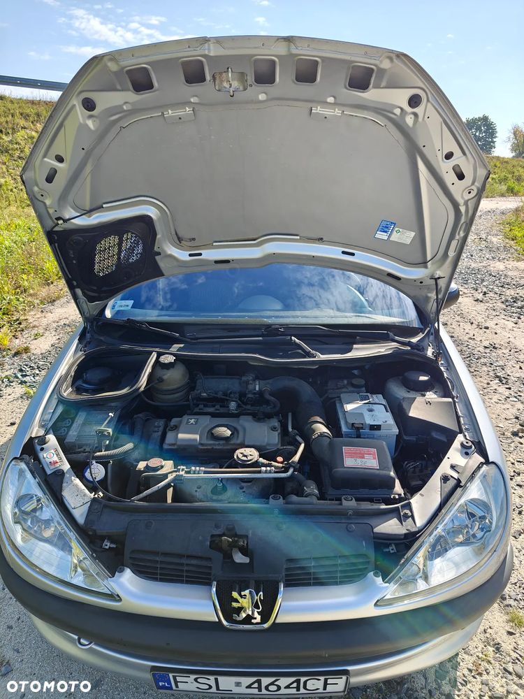 Peugeot 206 - 32