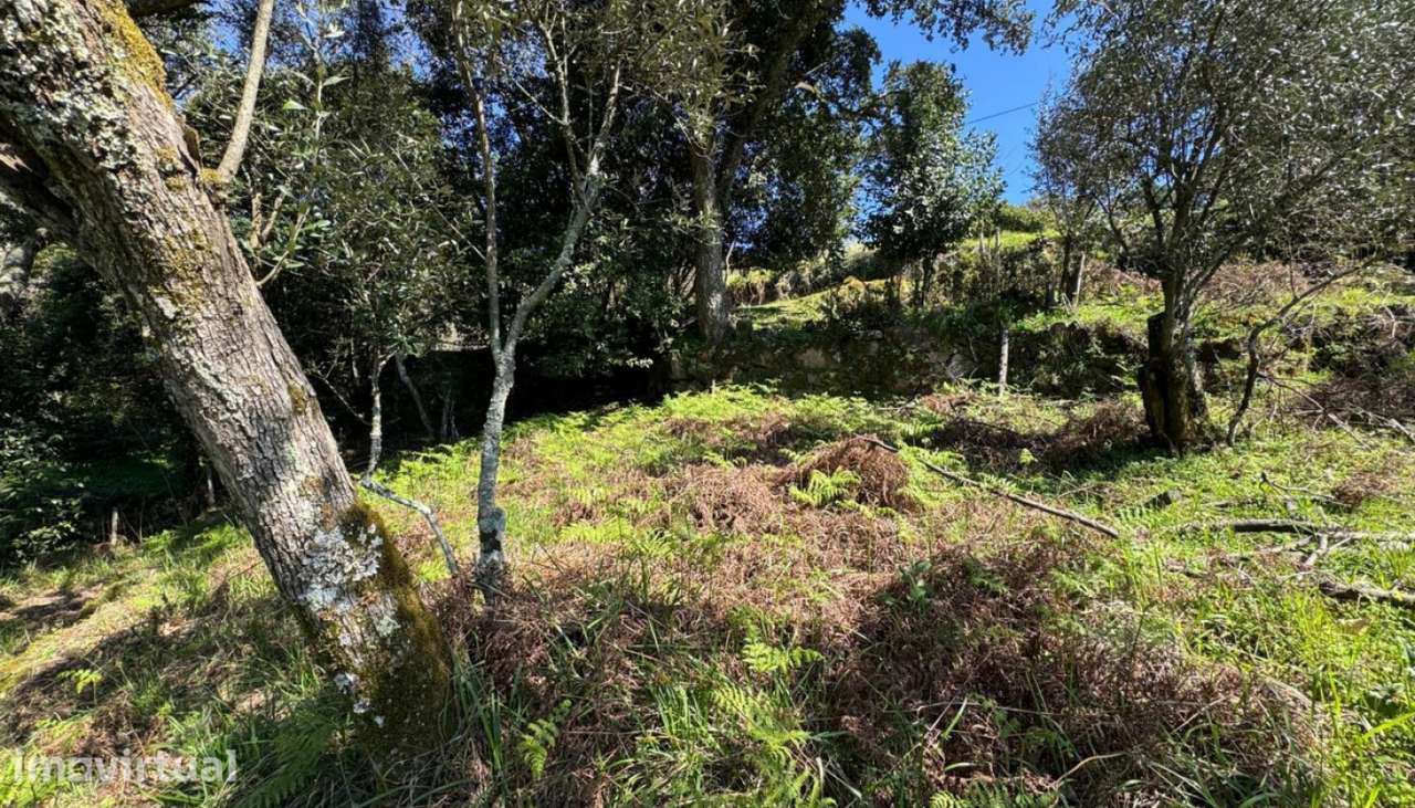Venda Moradia para reconstruir, Sta. Cruz do Douro, Baião - Grande imagem: 5/29
