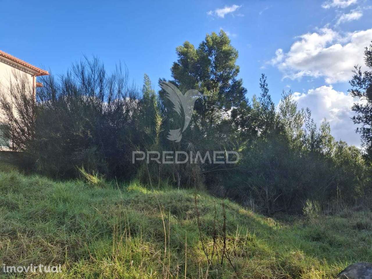 Terreno Gaula - Grande imagem: 2/12