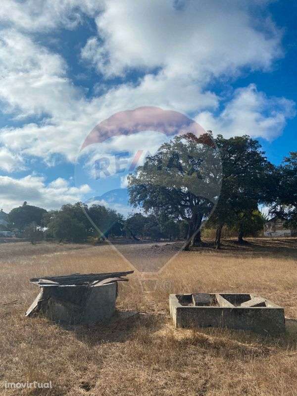 Quinta  para venda - Grande imagem: 5/24