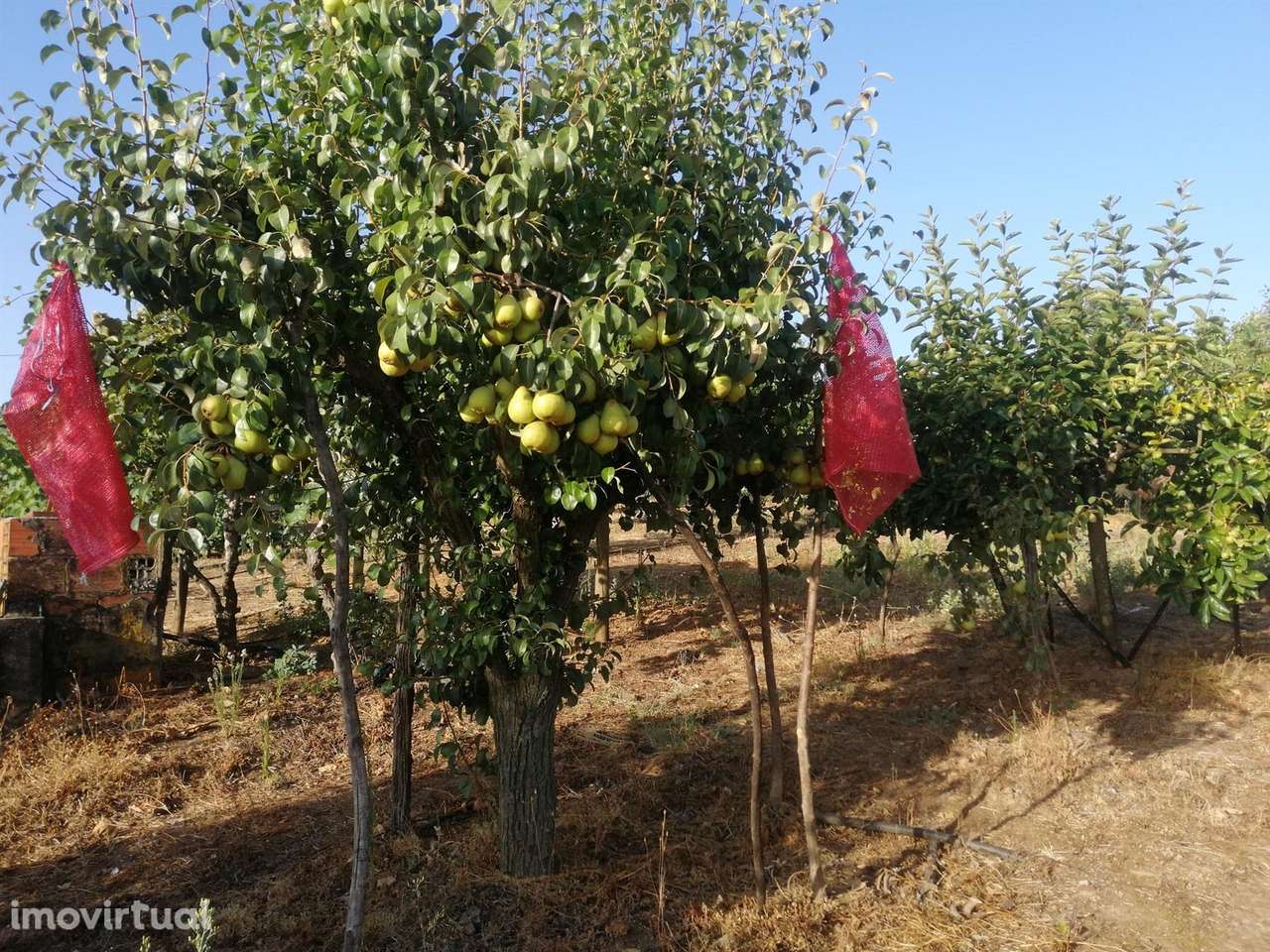 Quinta - Grande imagem: 2/7