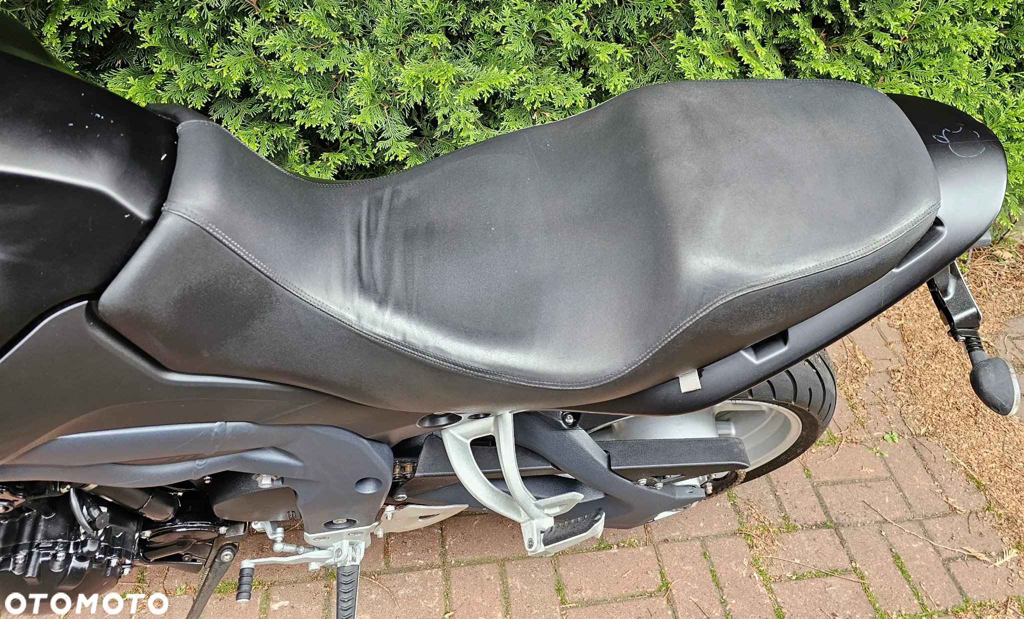 Triumph Tiger - 22