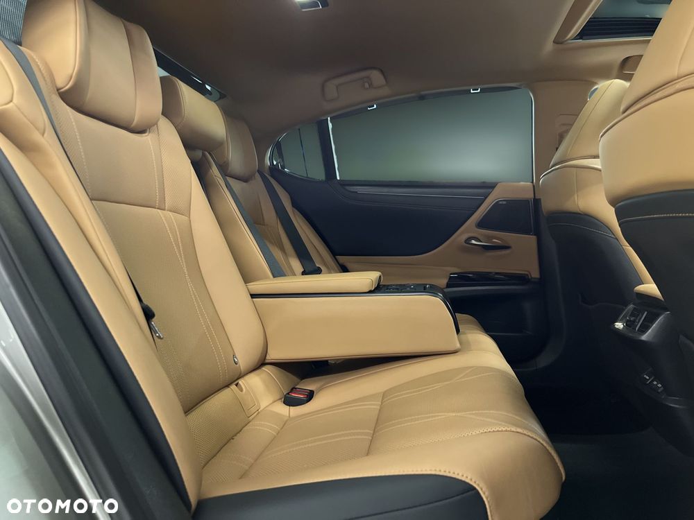 Lexus ES 300h Omotenashi - 13