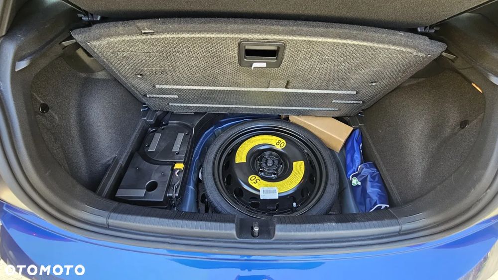 Volkswagen Polo 2.0 TSI GTI DSG - 14