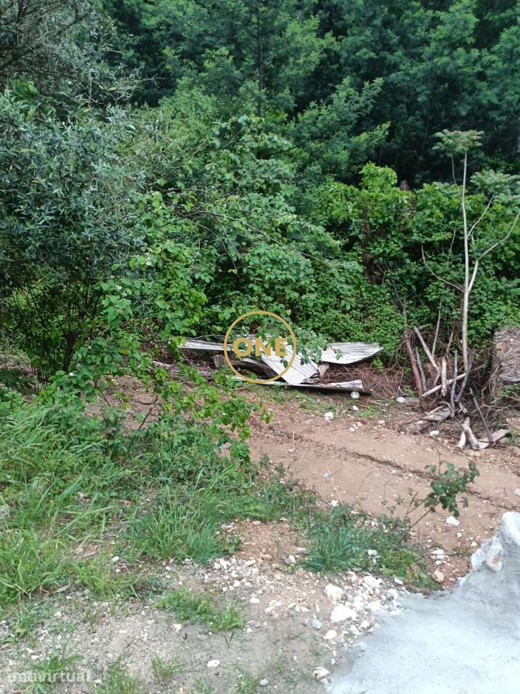 Terreno com Ruína 3380m2 junto Circular Externa - Grande imagem: 2/8