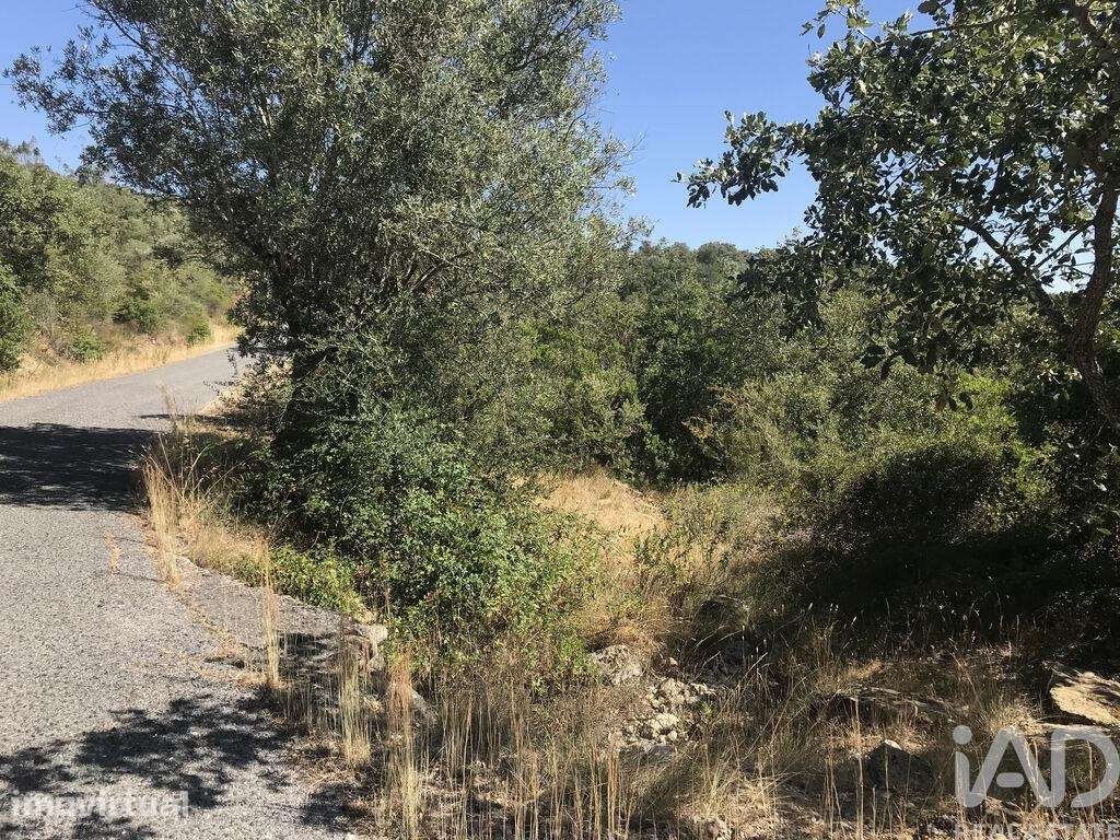 Terreno Agrícola em Além da Ribeira e Pedreira - Grande imagem: 4/38