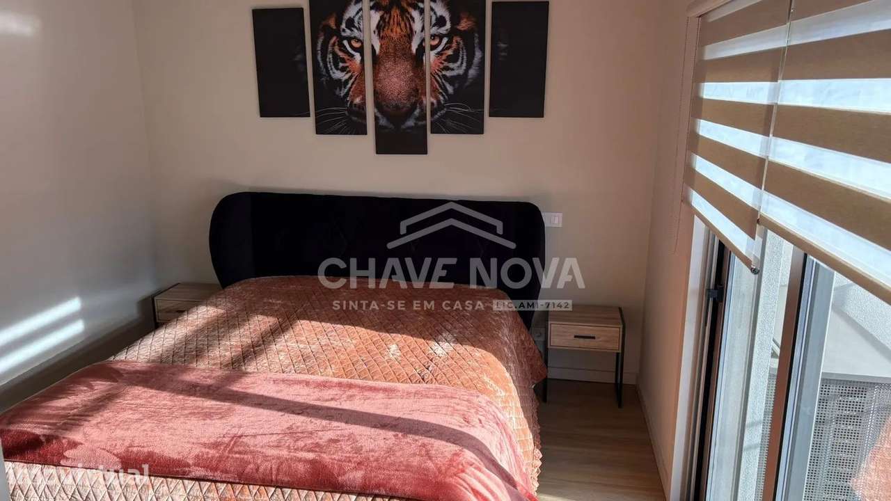 T1+1 NOVO , BOAVISTA- - Grande imagem: 3/10