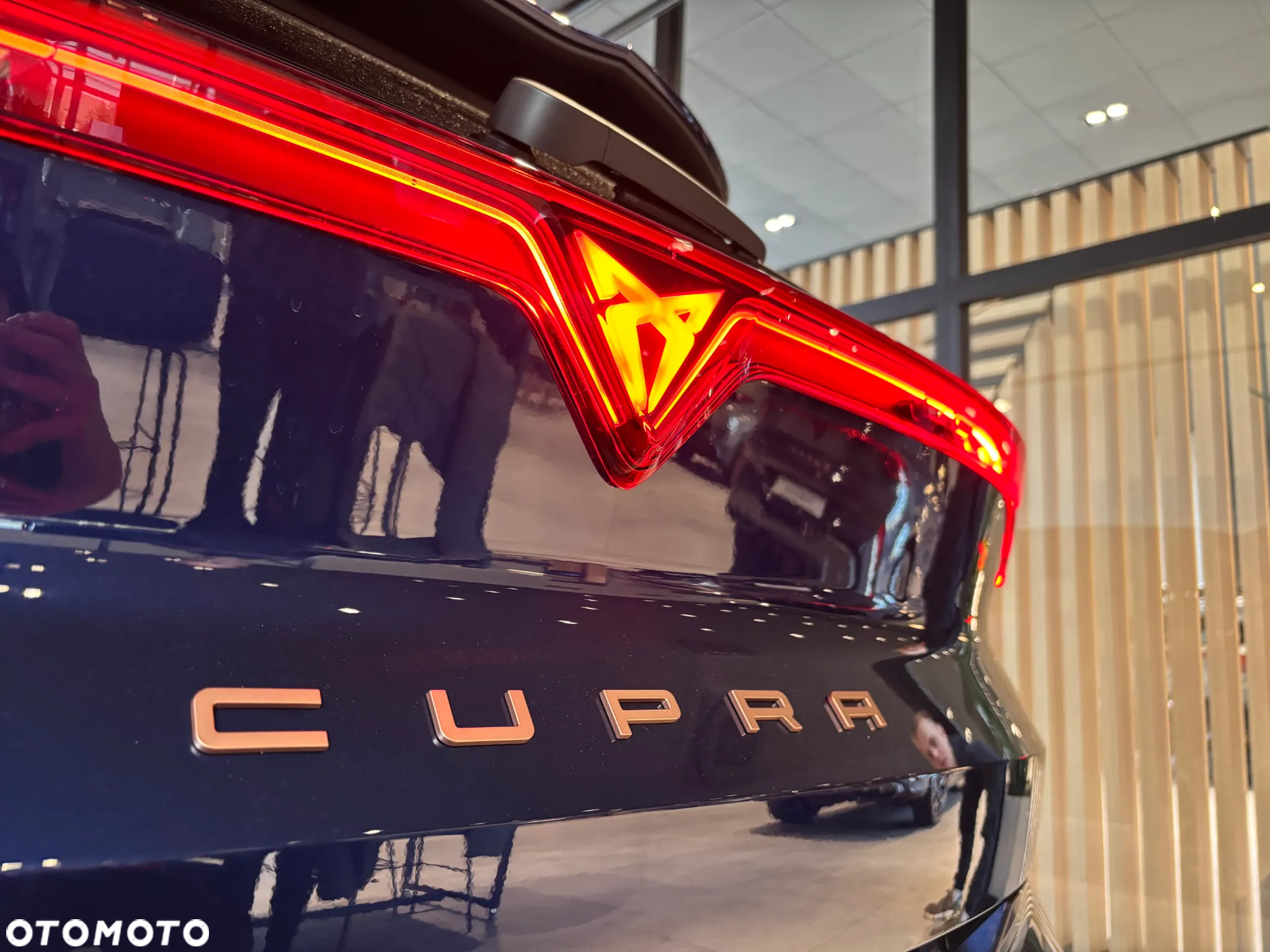 Cupra Terramar - 5