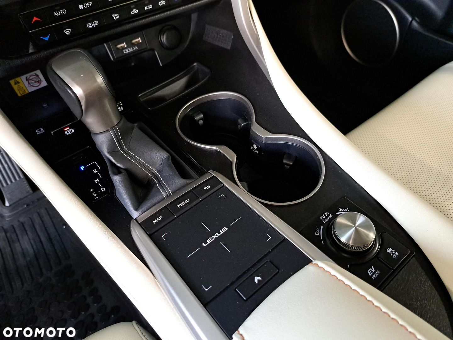 Lexus RX 450h F-Impression - 28