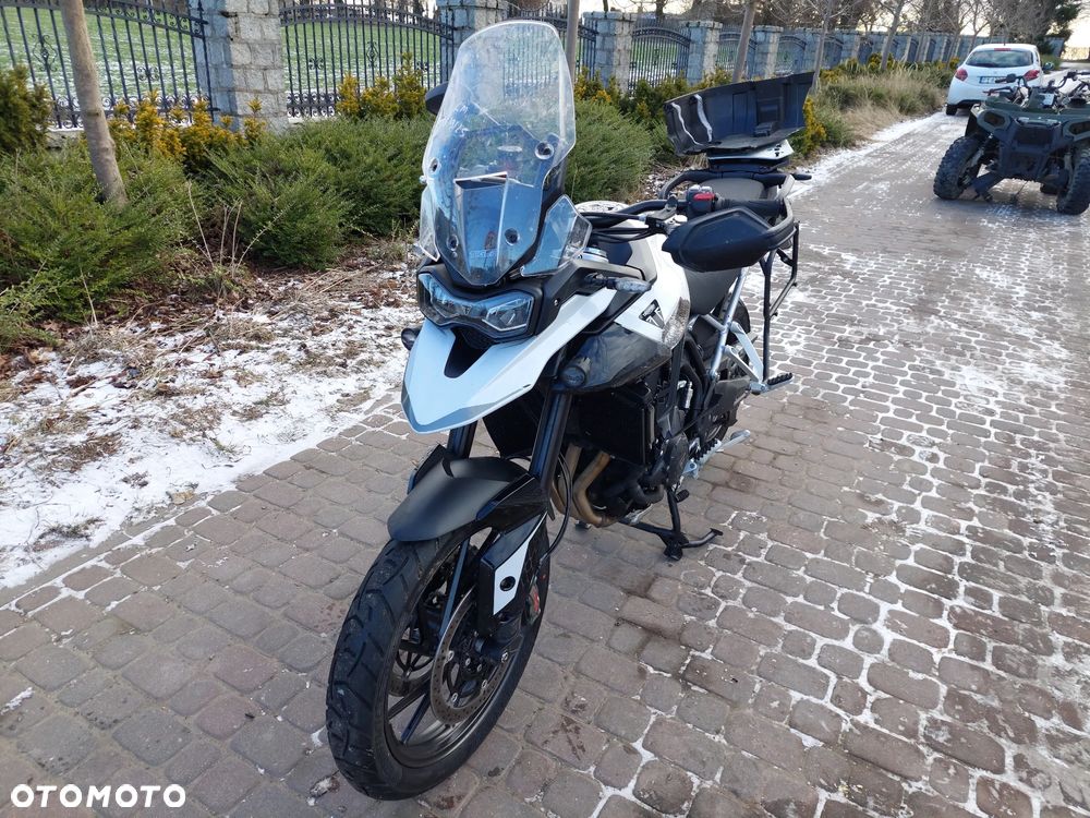 Triumph Tiger - 1