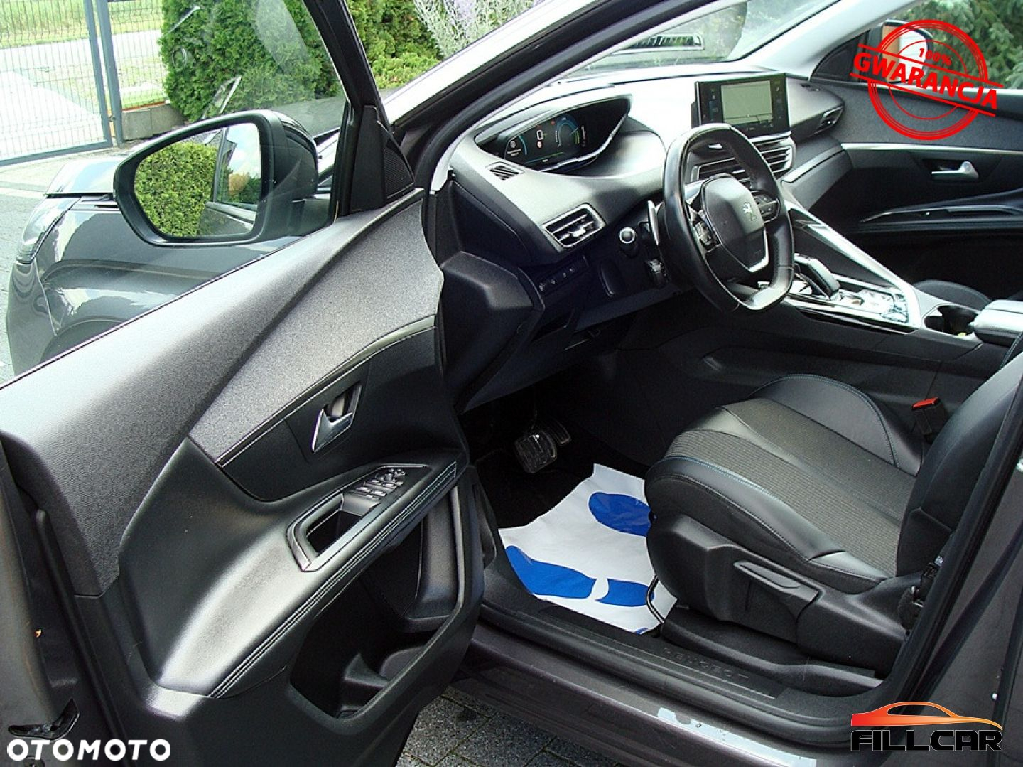 Peugeot 3008 - 18