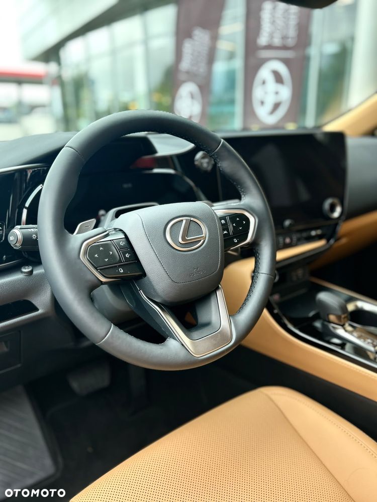 Lexus NX - 15