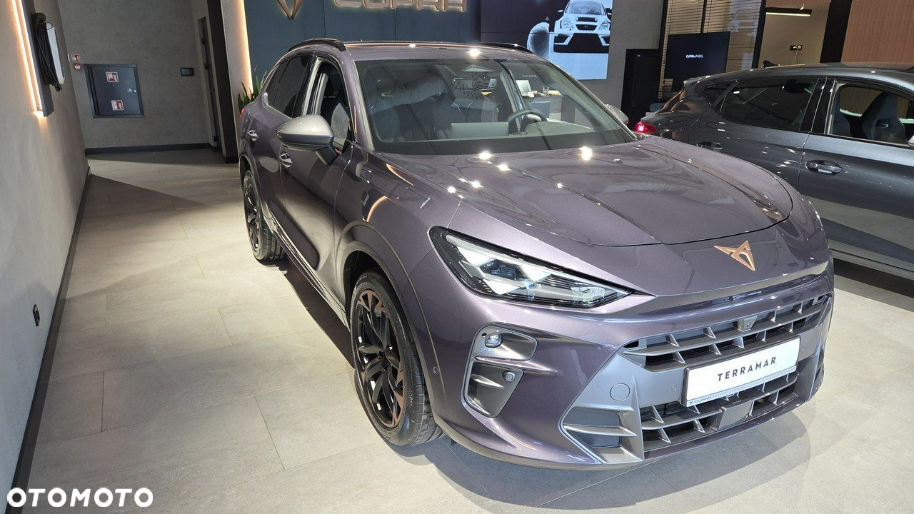 Cupra Terramar - 2