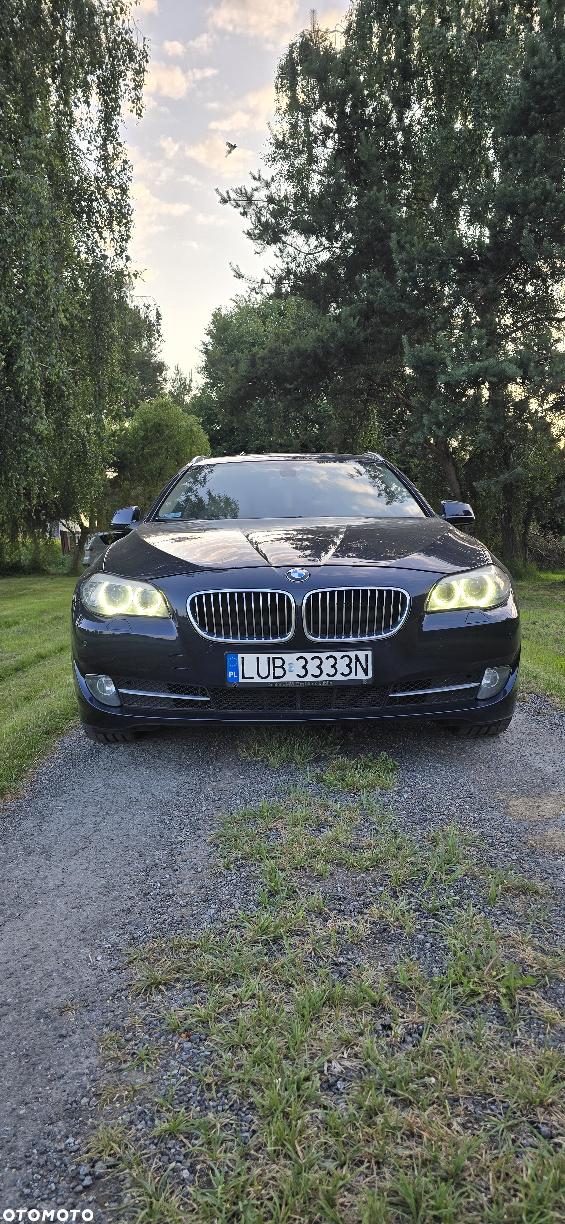 BMW Seria 5 - 2