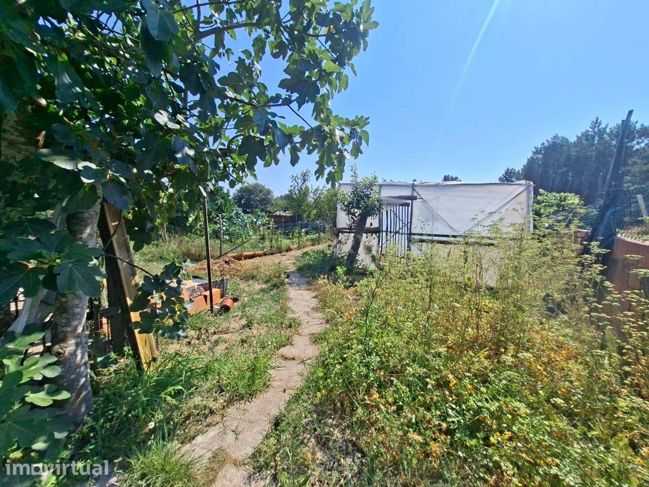 Casa T3 em Santo André de Vagos com Jardim - Grande imagem: 5/33