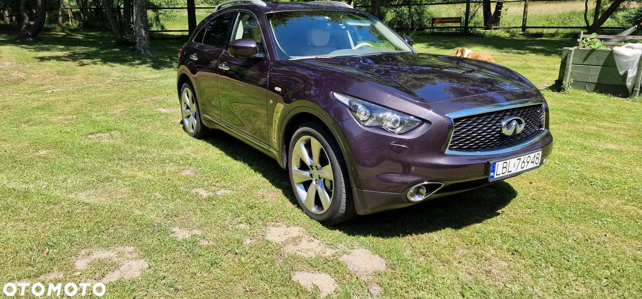 Infiniti QX70 3.7 S Premium EU6 - 2
