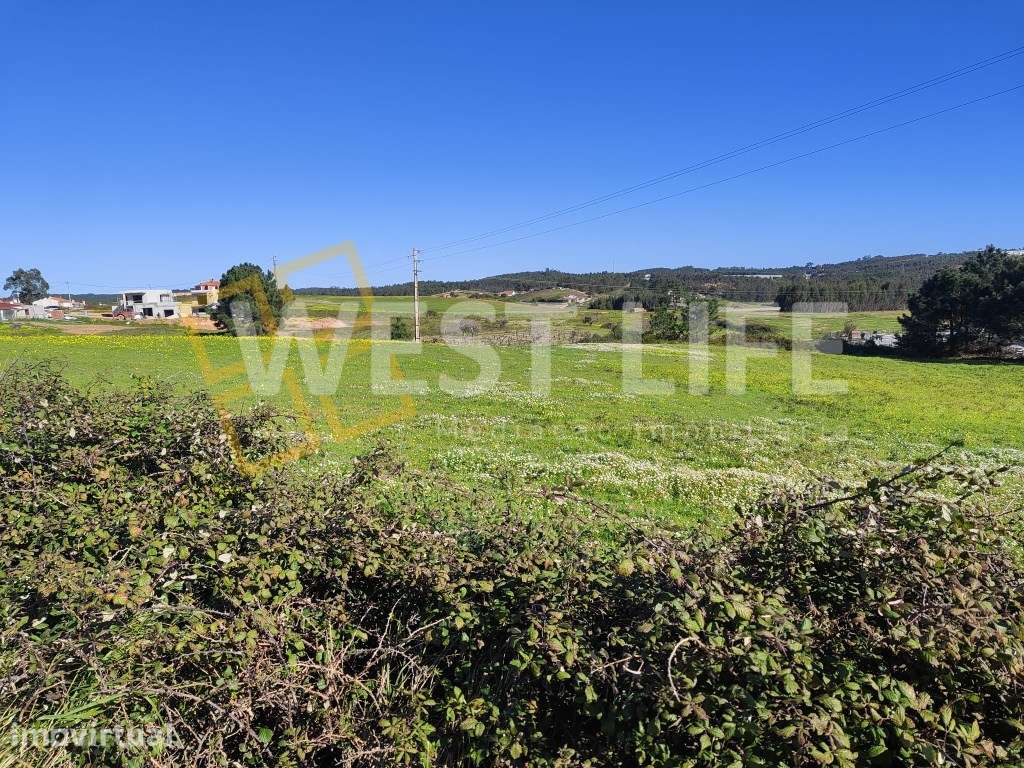 Terreno Rústico - Agrícola de 6.520m2 - EXCLUSIVO WESTLIFE - locali... - Grande imagem: 5/17