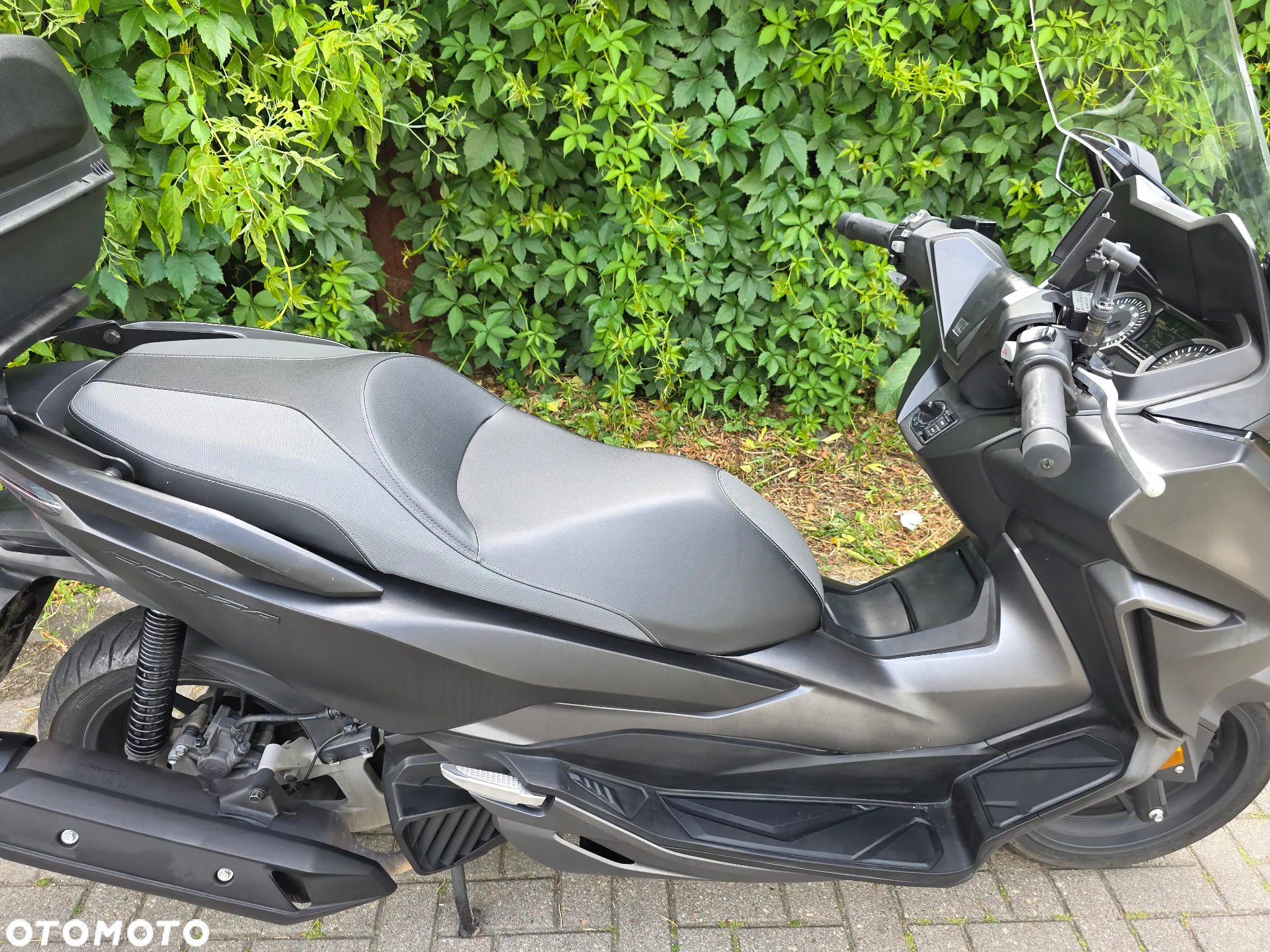 Honda Inny - 15