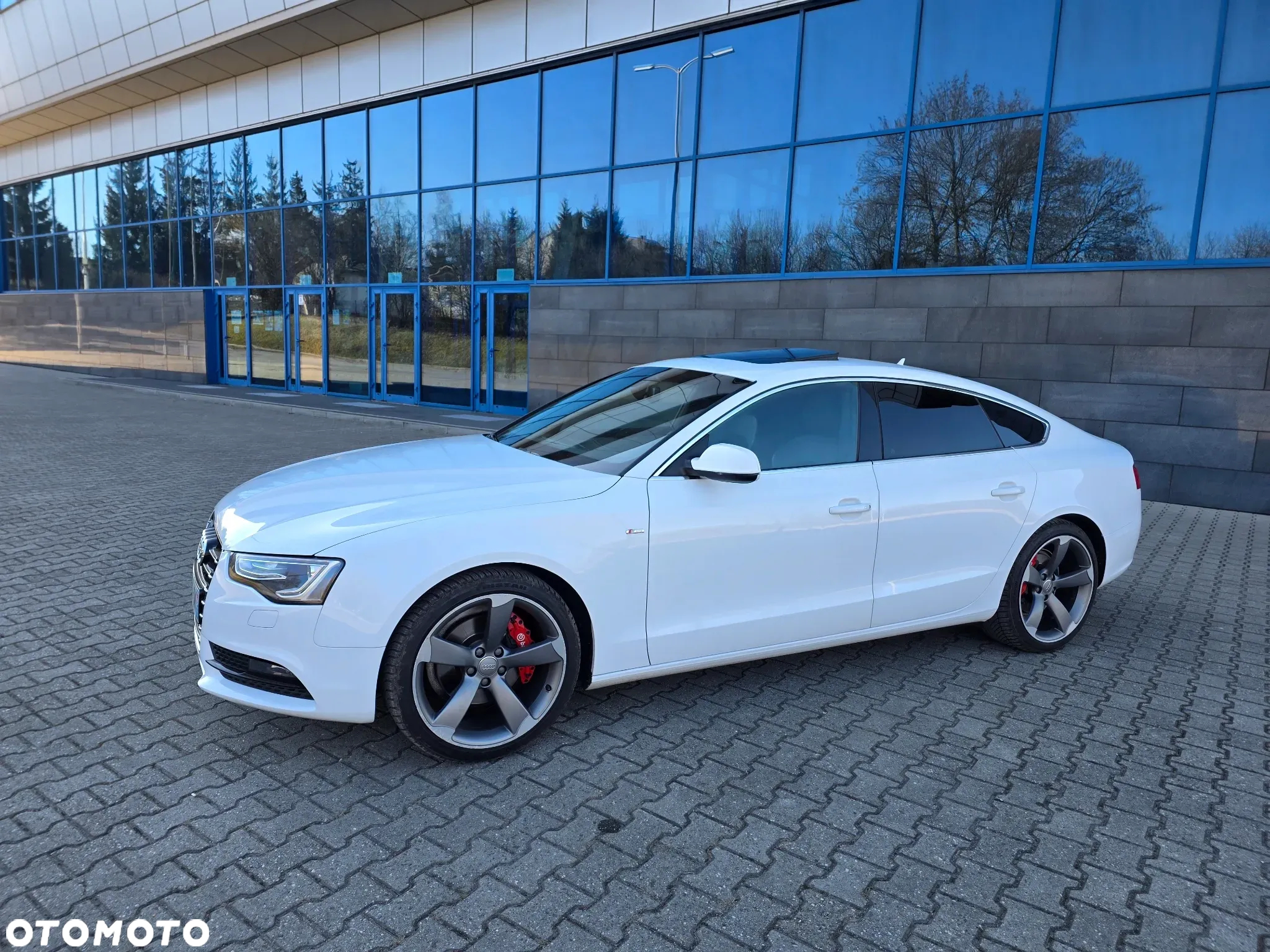 Audi A5 2.0 TDI Sportback quattro DPF S tronic - 19