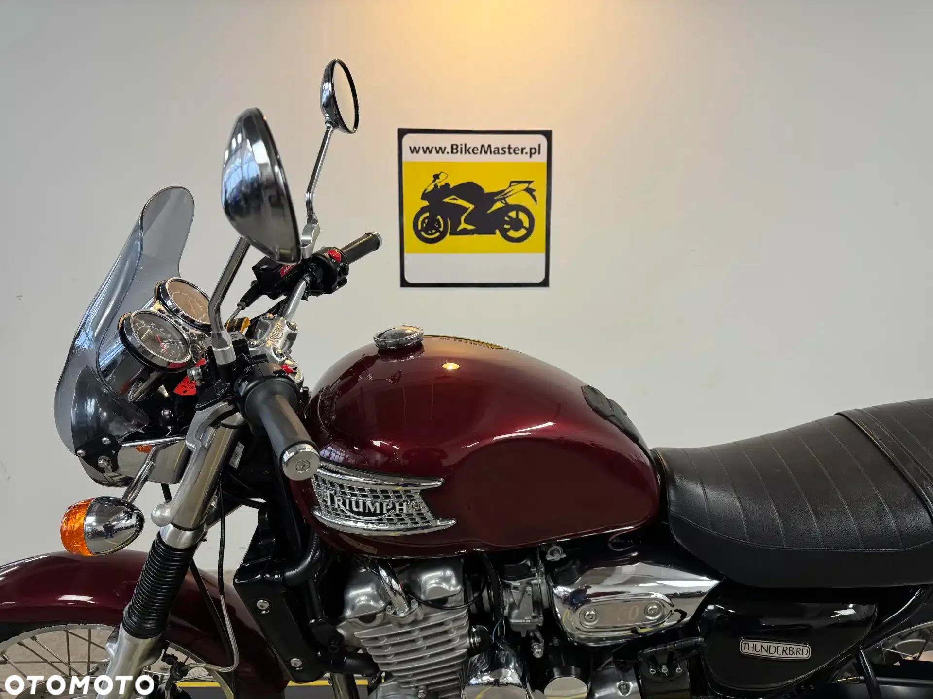 Triumph Thunderbird - 20