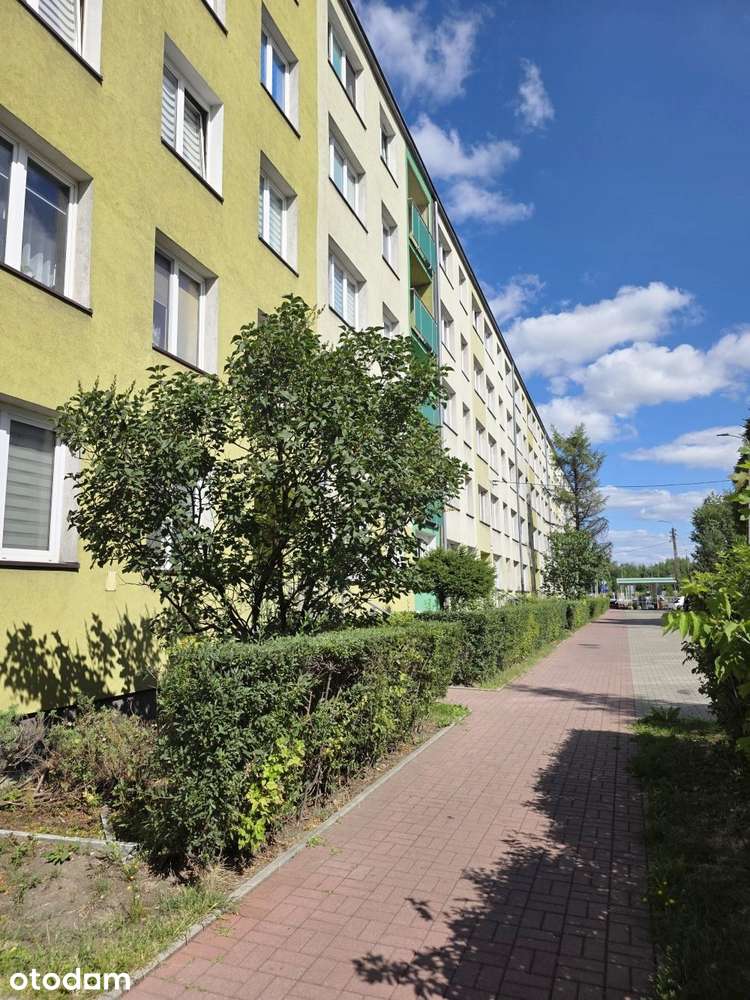 Mieszkanie 2 pokojowe w Śródmieściu Bytomia SPRZEDAM