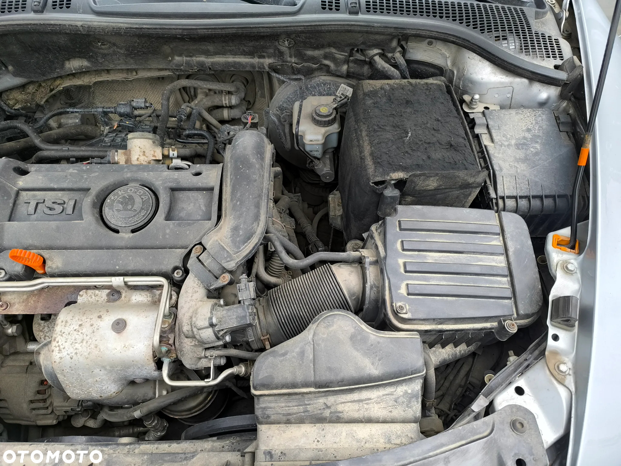 Skoda Octavia 1.4 TSI Ambiente - 13