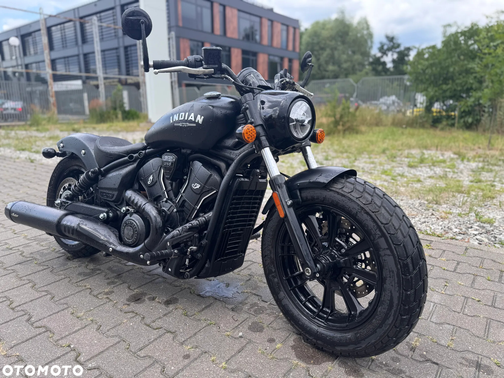 Indian Scout - 3