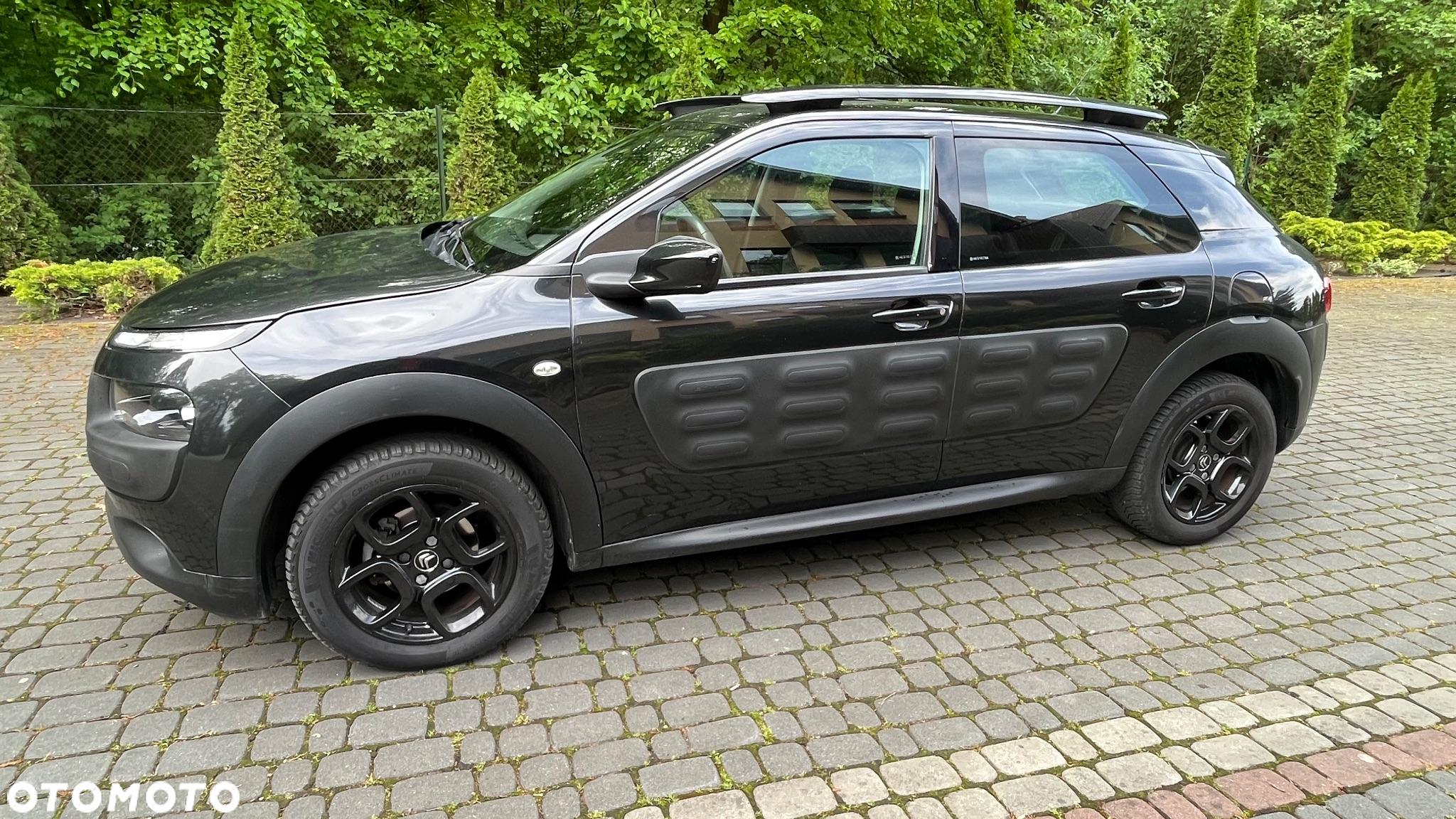 Citroën C4 Cactus 1.6 BlueHDi Shine - 2