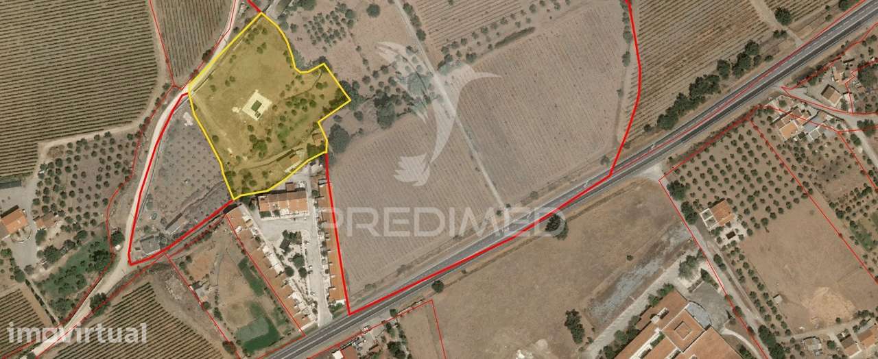 Quinta de 10.500 m² com Moradia T3, Piscina e Garagem | Alentejo I... - Grande imagem: 5/40