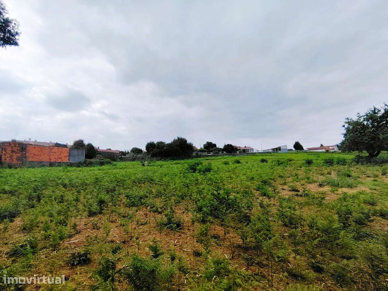 Terreno com 9.562 m2 – Grijó, Vila Nova de Gaia - Grande imagem: 4/20