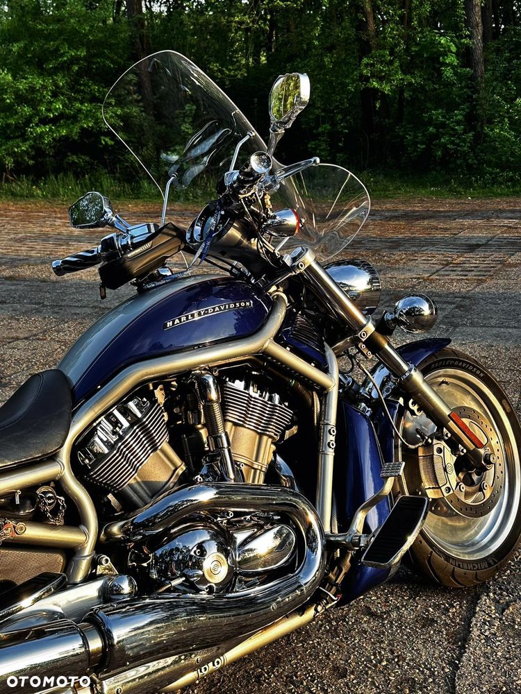 Harley-Davidson V-Rod Street Rod - 3