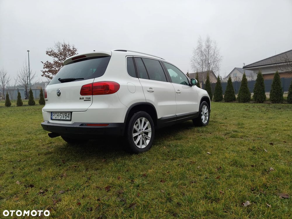 Volkswagen Tiguan - 10
