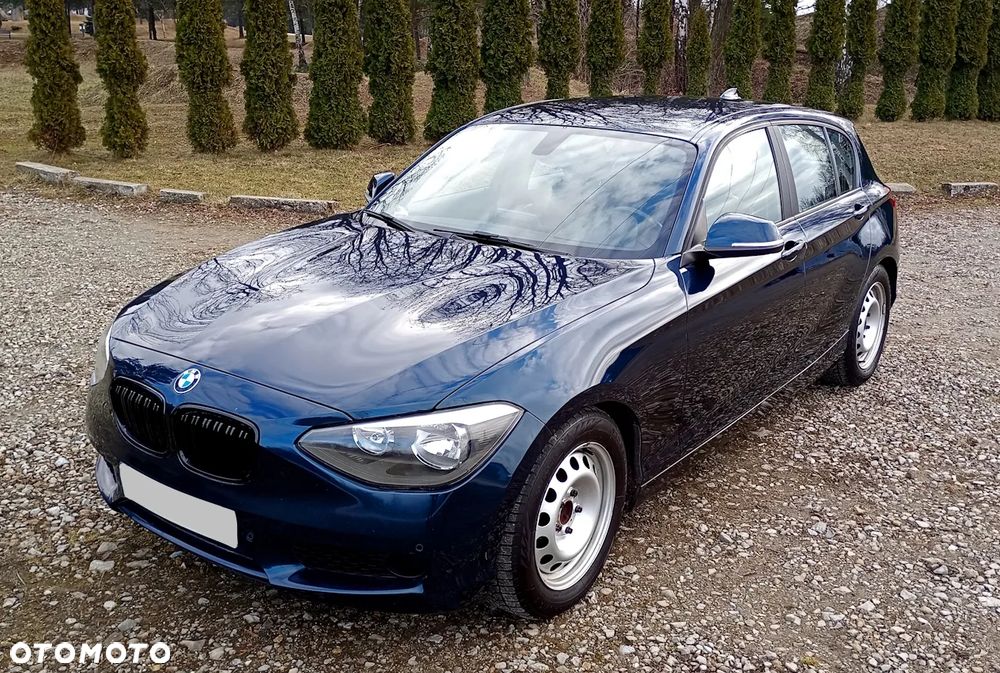 BMW Seria 1 116d EfficientDynamics Sport Line - 2
