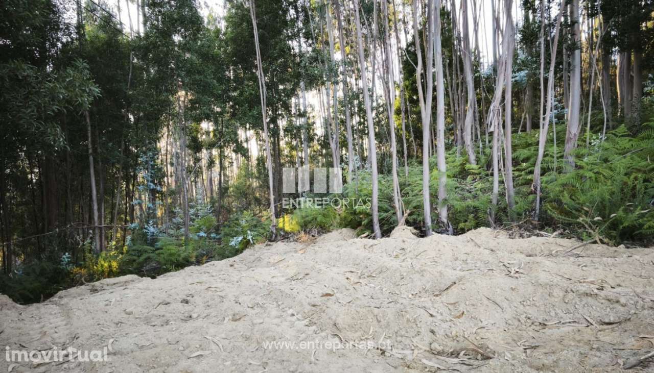 Venda de Terreno para construção, Meixedo, Viana do Castelo - Grande imagem: 4/18