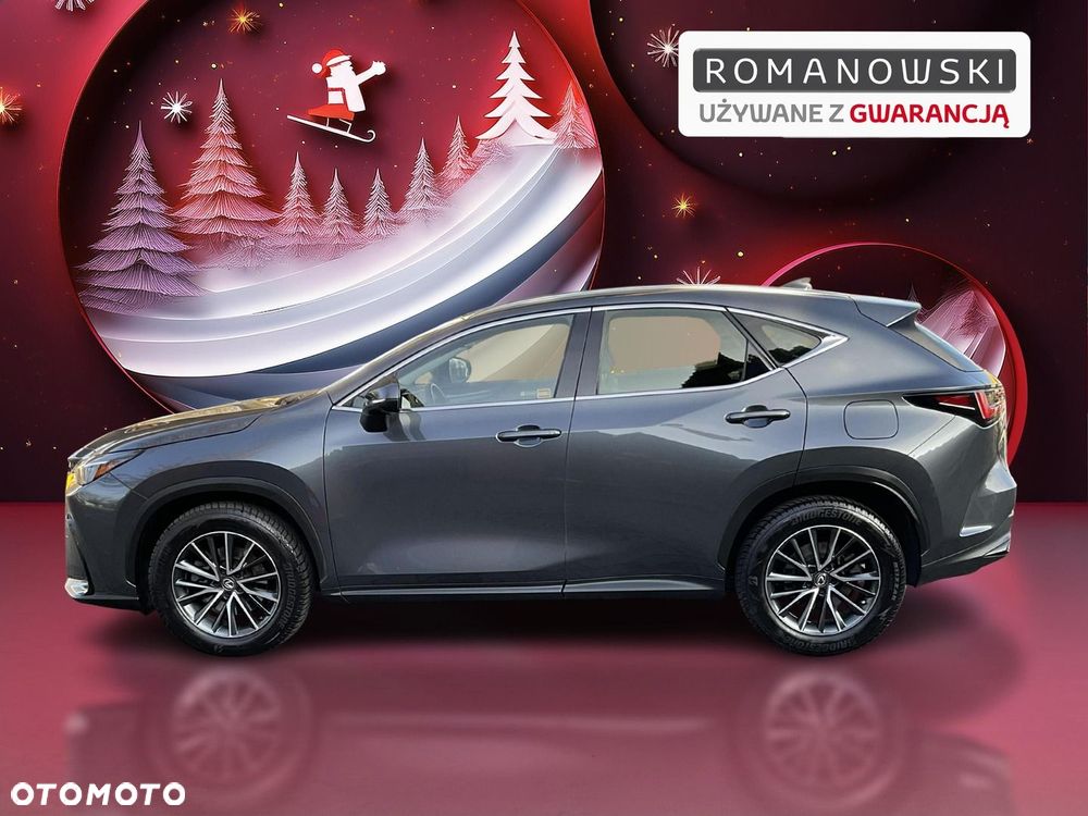 Lexus NX 350h Business AWD - 2