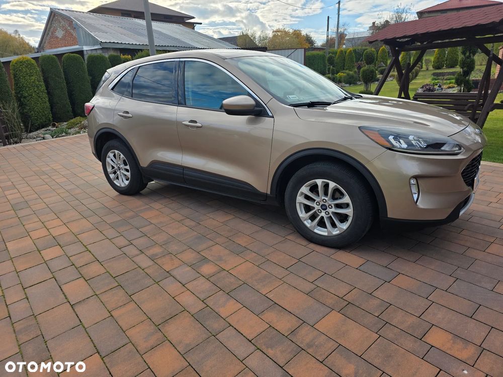 Ford Escape - 7