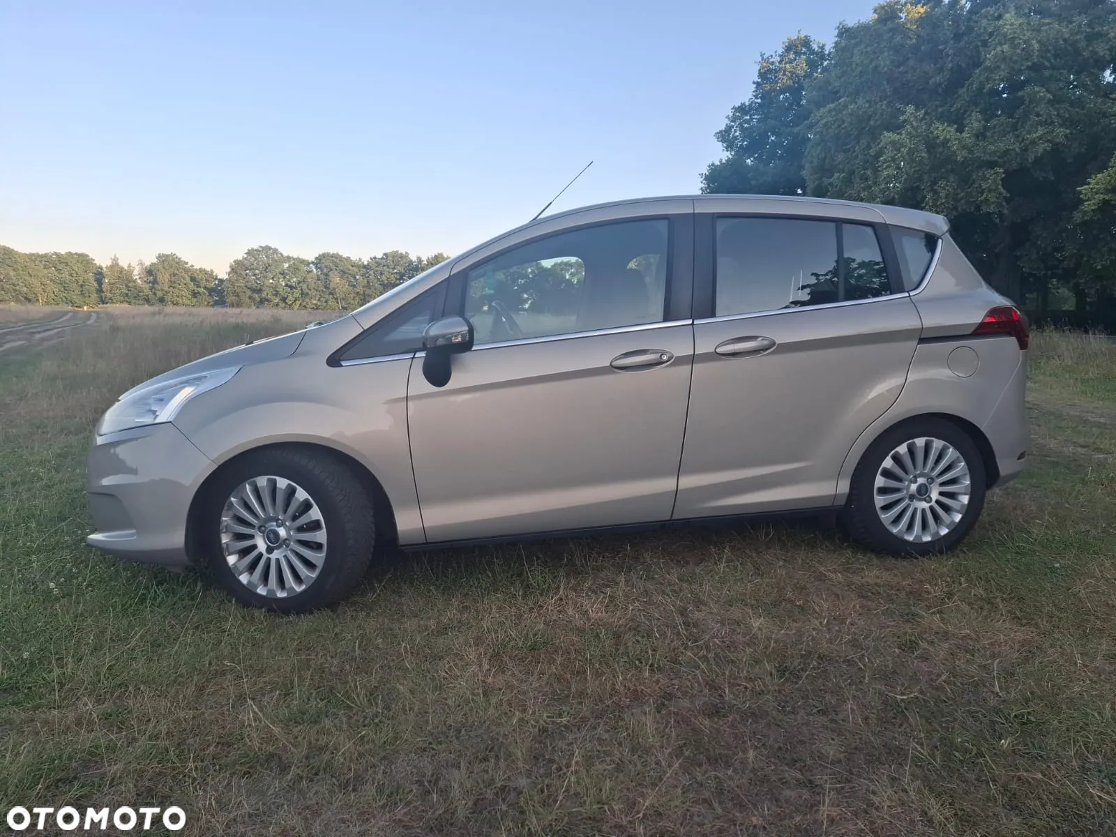 Ford B-MAX 1.0 EcoBoost Titanium - 5