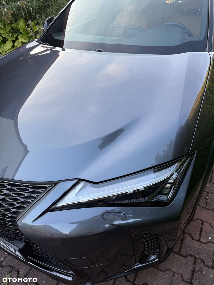 Lexus UX 250h GPF F Sport Design+ 2WD - 5