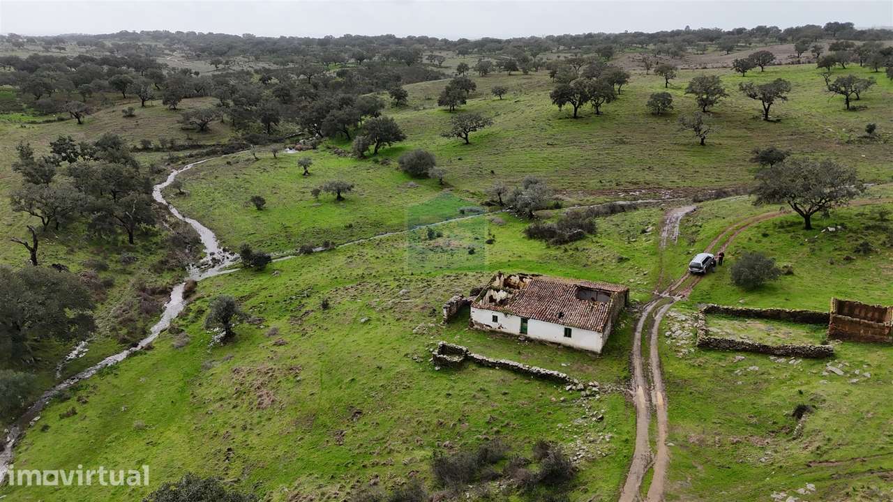 Terreno Misto T4 Venda em Ourique,Ourique - Grande imagem: 3/31