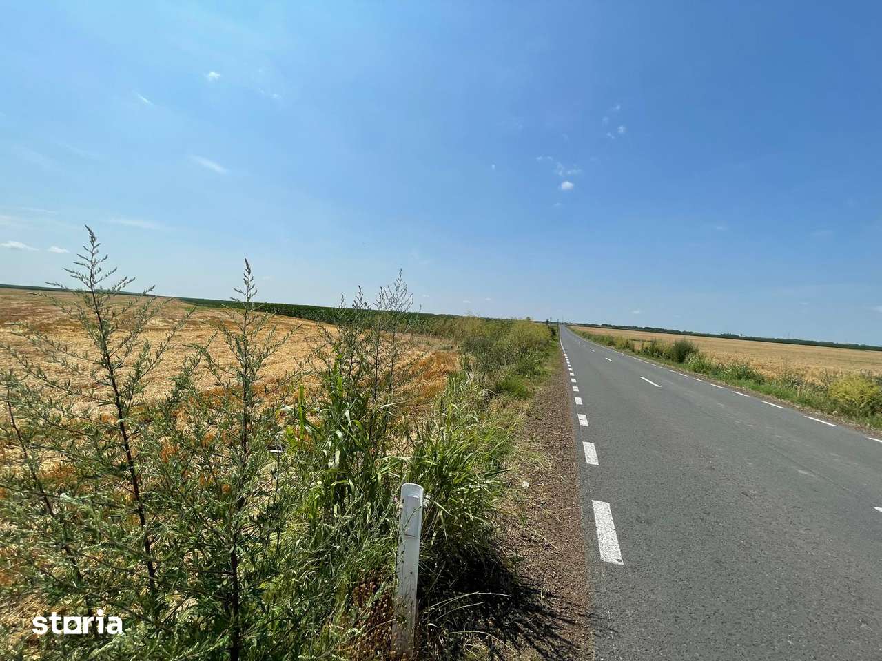 Vand Teren Agricol 103Hectare! Satchinez Biled Jud.Timiș Compact Cal1! - Imagine principală: 2/4