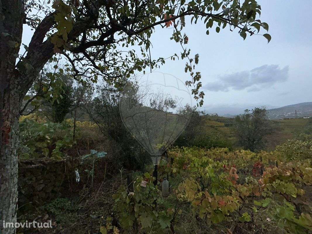 Terreno  para venda - Grande imagem: 3/14