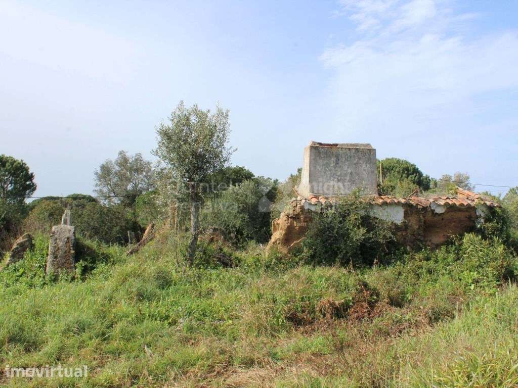 Terreno com 3,9 hectares e projecto aprovado em Melides, Setúbal - Grande imagem: 3/39