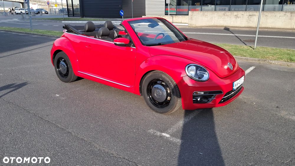 Volkswagen Beetle - 11