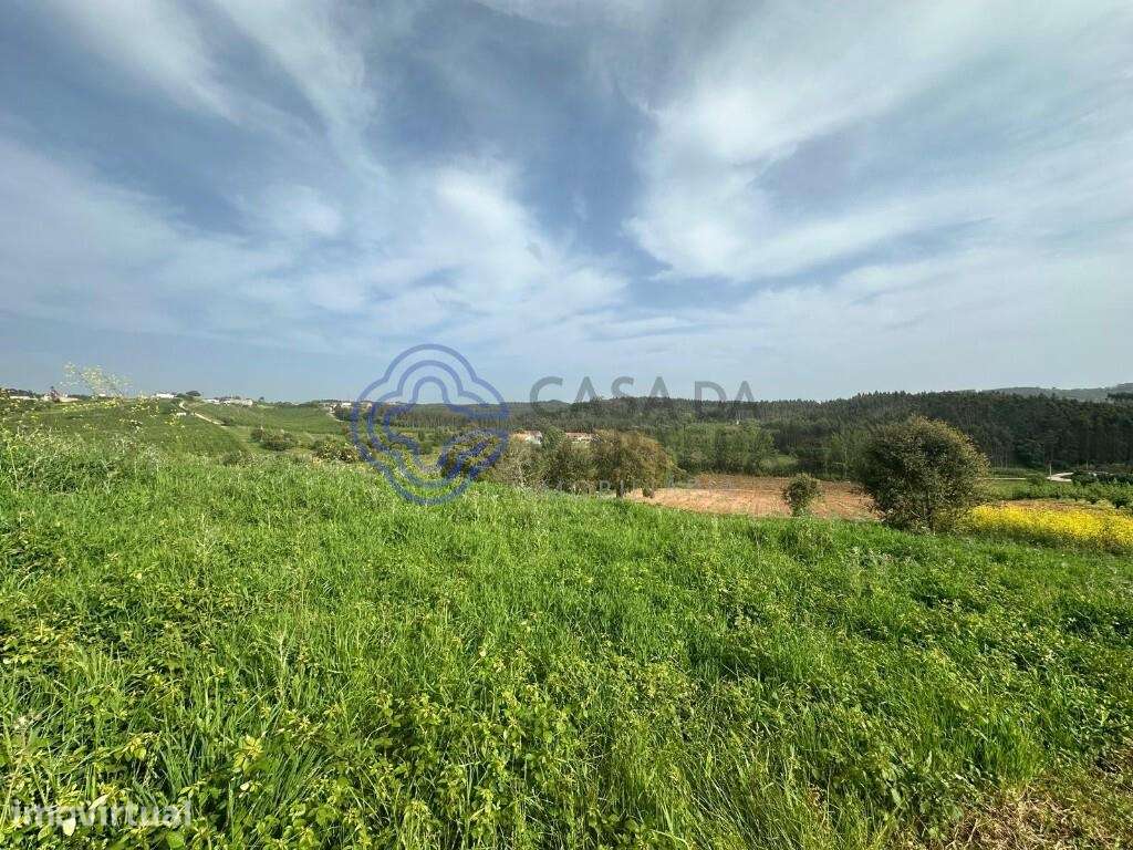 Terreno rústico para produção agrícola - Grande imagem: 2/5